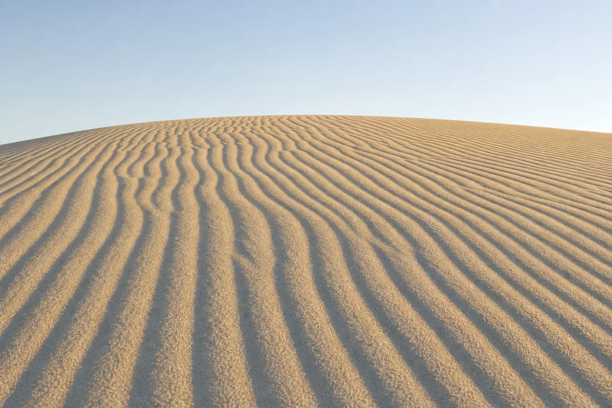 Crête de dune de sable ridée par le vent sous une lumière douce du matin