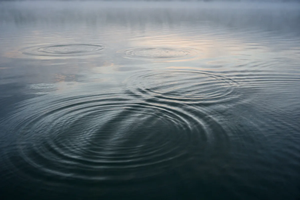 Ondes concentriques se propageant à la surface calme d&rsquo;un lac au petit matin