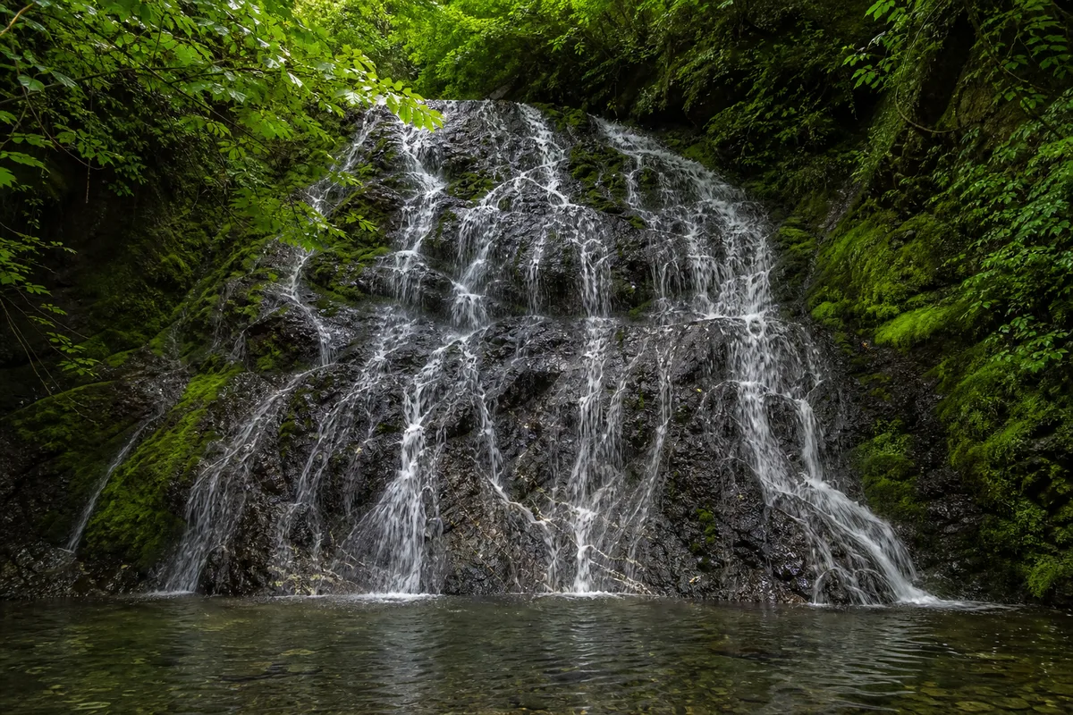 Cascade s’étalant en éventail sur une paroi de roche sombre bordée de mousse